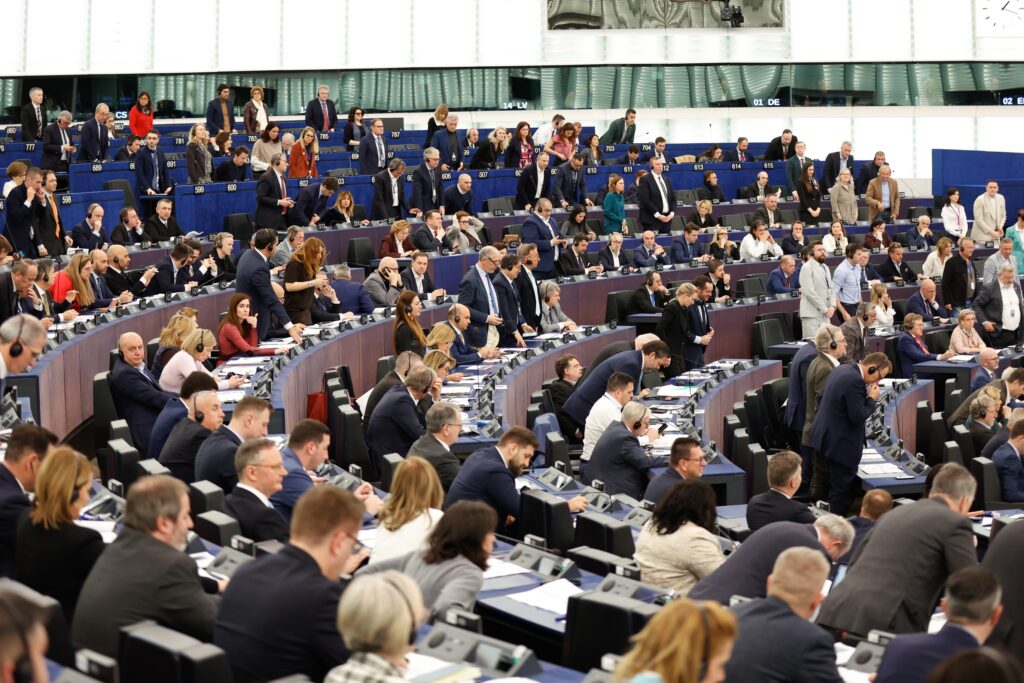 EP-200461D_Plenary_10_Votes